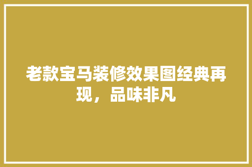 老款宝马装修效果图经典再现，品味非凡