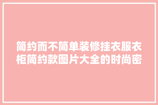 简约而不简单装修挂衣服衣柜简约款图片大全的时尚密码