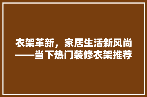 衣架革新，家居生活新风尚——当下热门装修衣架推荐