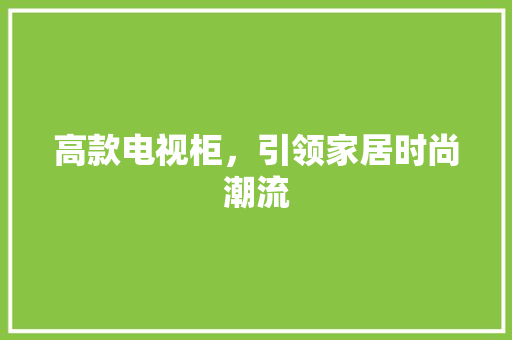 高款电视柜，引领家居时尚潮流