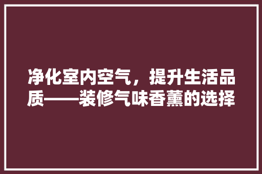 净化室内空气，提升生活品质——装修气味香薰的选择之路