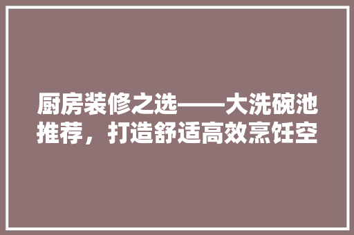 厨房装修之选——大洗碗池推荐，打造舒适高效烹饪空间
