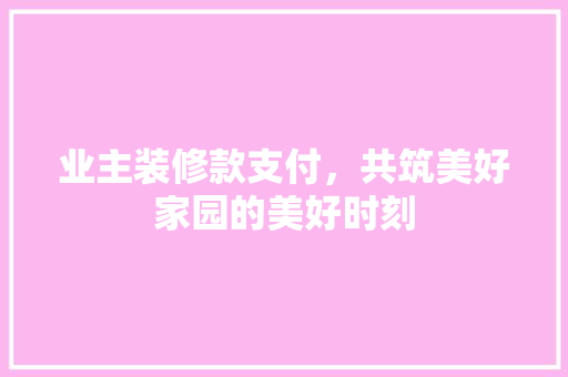 业主装修款支付，共筑美好家园的美好时刻