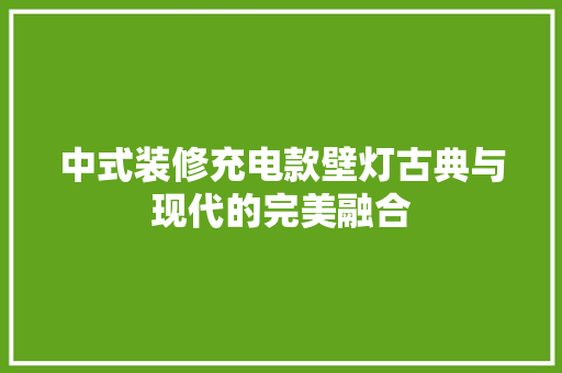 中式装修充电款壁灯古典与现代的完美融合