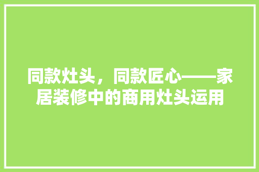 同款灶头，同款匠心——家居装修中的商用灶头运用