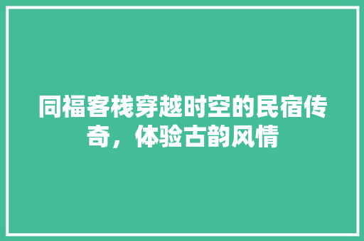 同福客栈穿越时空的民宿传奇，体验古韵风情