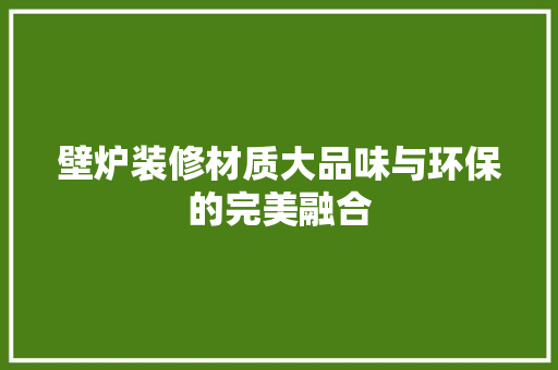 壁炉装修材质大品味与环保的完美融合