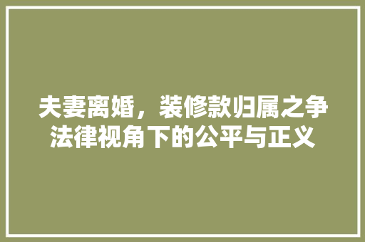 夫妻离婚，装修款归属之争法律视角下的公平与正义