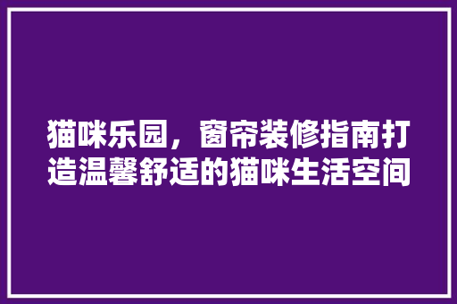 猫咪乐园，窗帘装修指南打造温馨舒适的猫咪生活空间