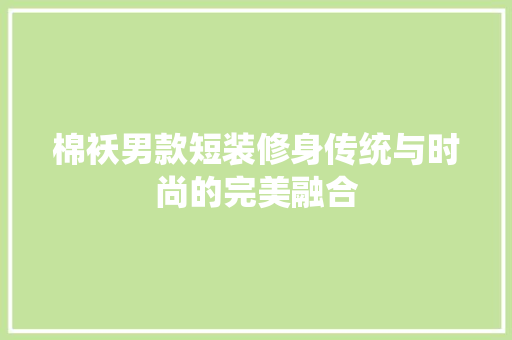 棉袄男款短装修身传统与时尚的完美融合