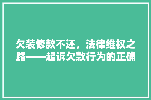 欠装修款不还，法律维权之路——起诉欠款行为的正确步骤与注意事项