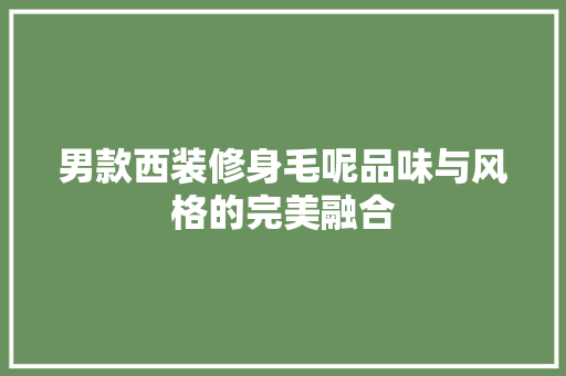 男款西装修身毛呢品味与风格的完美融合