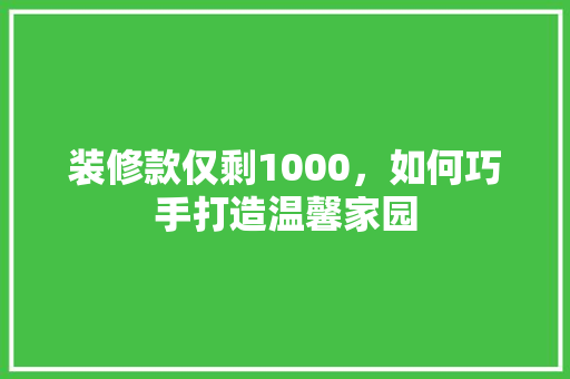 装修款仅剩1000，如何巧手打造温馨家园