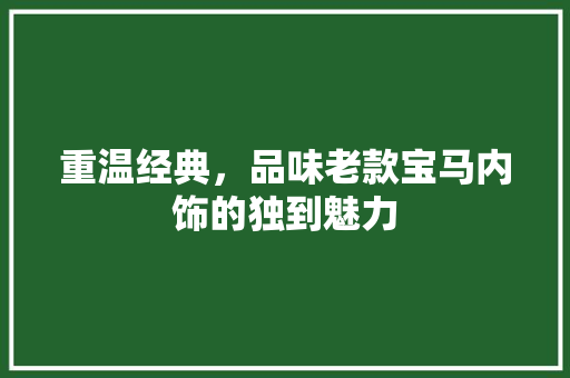 重温经典，品味老款宝马内饰的独到魅力