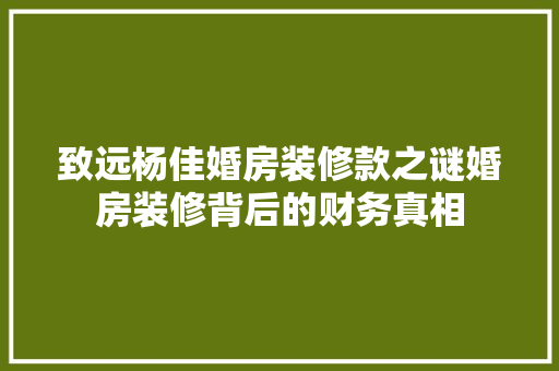 致远杨佳婚房装修款之谜婚房装修背后的财务真相