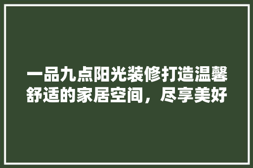 一品九点阳光装修打造温馨舒适的家居空间，尽享美好生活