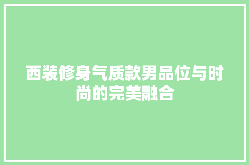 西装修身气质款男品位与时尚的完美融合