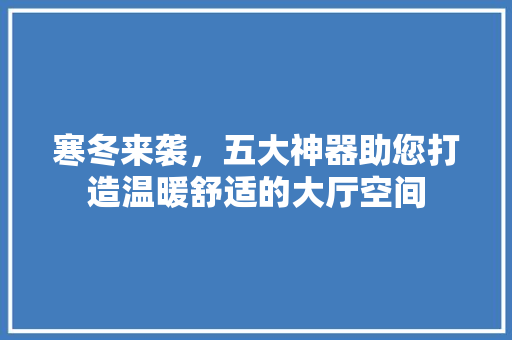 寒冬来袭，五大神器助您打造温暖舒适的大厅空间