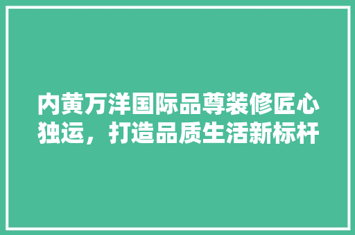 内黄万洋国际品尊装修匠心独运，打造品质生活新标杆