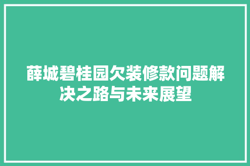 薛城碧桂园欠装修款问题解决之路与未来展望