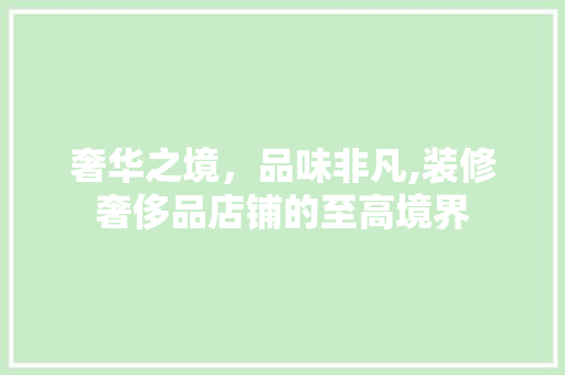 奢华之境，品味非凡,装修奢侈品店铺的至高境界