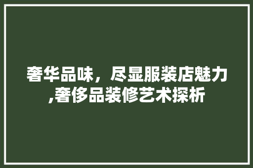 奢华品味，尽显服装店魅力,奢侈品装修艺术探析
