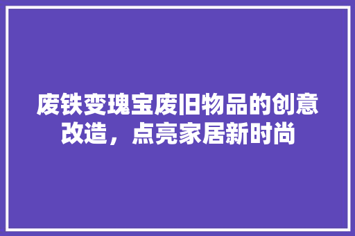 废铁变瑰宝废旧物品的创意改造，点亮家居新时尚