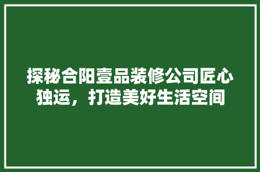 探秘合阳壹品装修公司匠心独运，打造美好生活空间