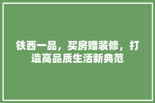 铁西一品，买房赠装修，打造高品质生活新典范  第1张