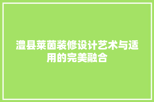 澧县莱茵装修设计艺术与适用的完美融合