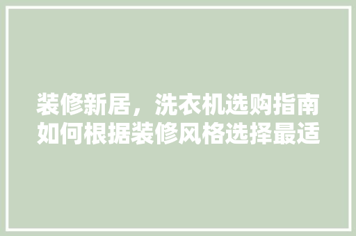 装修新居，洗衣机选购指南如何根据装修风格选择最适合的洗衣机