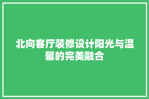 北向客厅装修设计阳光与温馨的完美融合