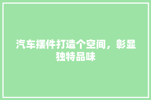 汽车摆件打造个空间，彰显独特品味