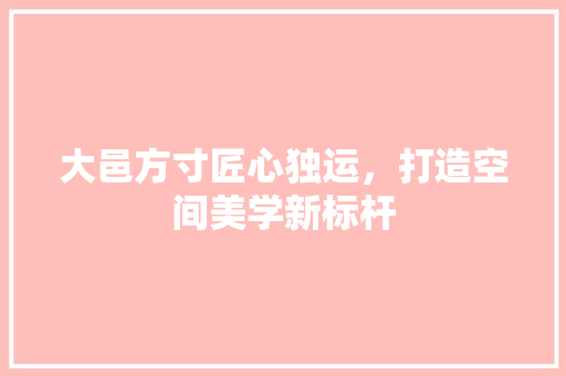 大邑方寸匠心独运，打造空间美学新标杆