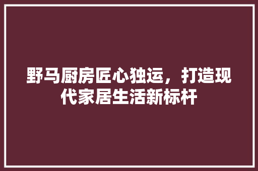 野马厨房匠心独运，打造现代家居生活新标杆