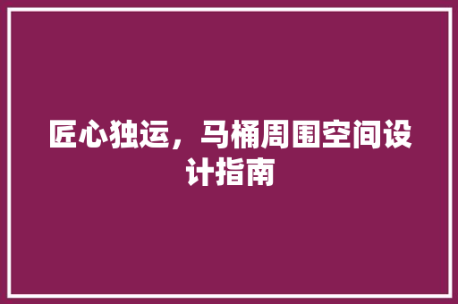 匠心独运，马桶周围空间设计指南