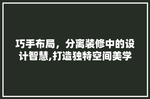 巧手布局，分离装修中的设计智慧,打造独特空间美学