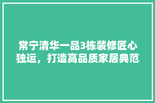 常宁清华一品3栋装修匠心独运，打造高品质家居典范