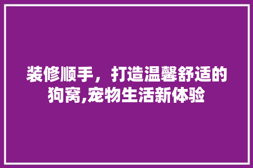 装修顺手，打造温馨舒适的狗窝,宠物生活新体验