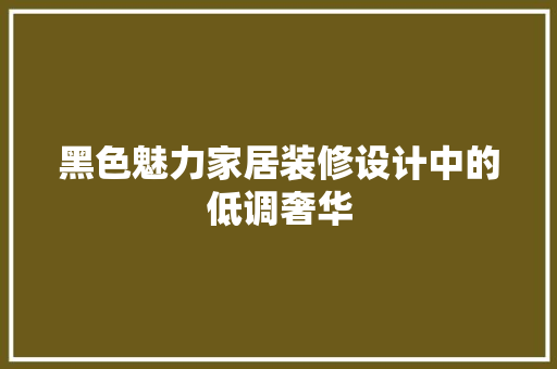 黑色魅力家居装修设计中的低调奢华