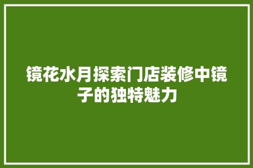 镜花水月探索门店装修中镜子的独特魅力  第1张