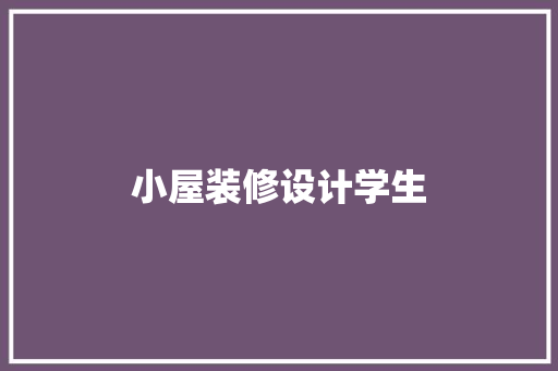 小屋装修设计学生
