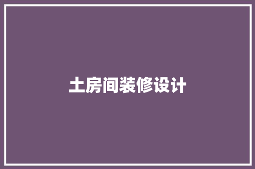 土房间装修设计