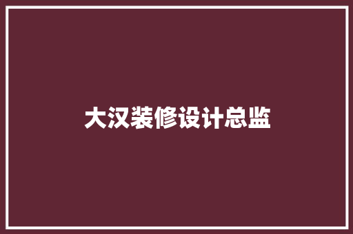 大汉装修设计总监