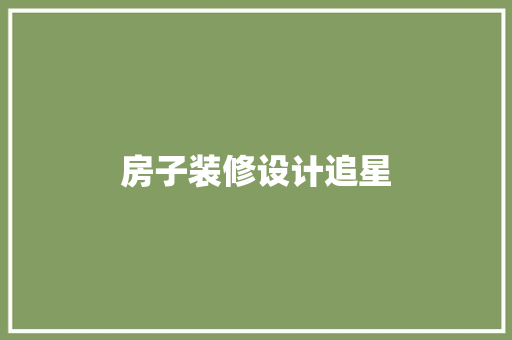 房子装修设计追星