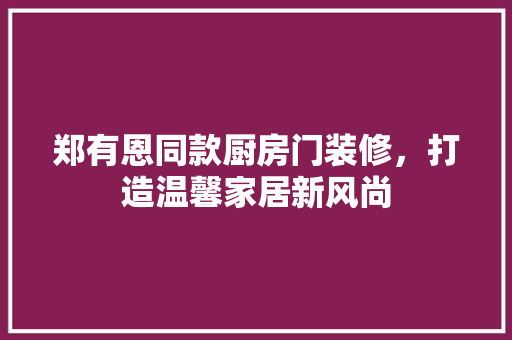 郑有恩同款厨房门装修，打造温馨家居新风尚